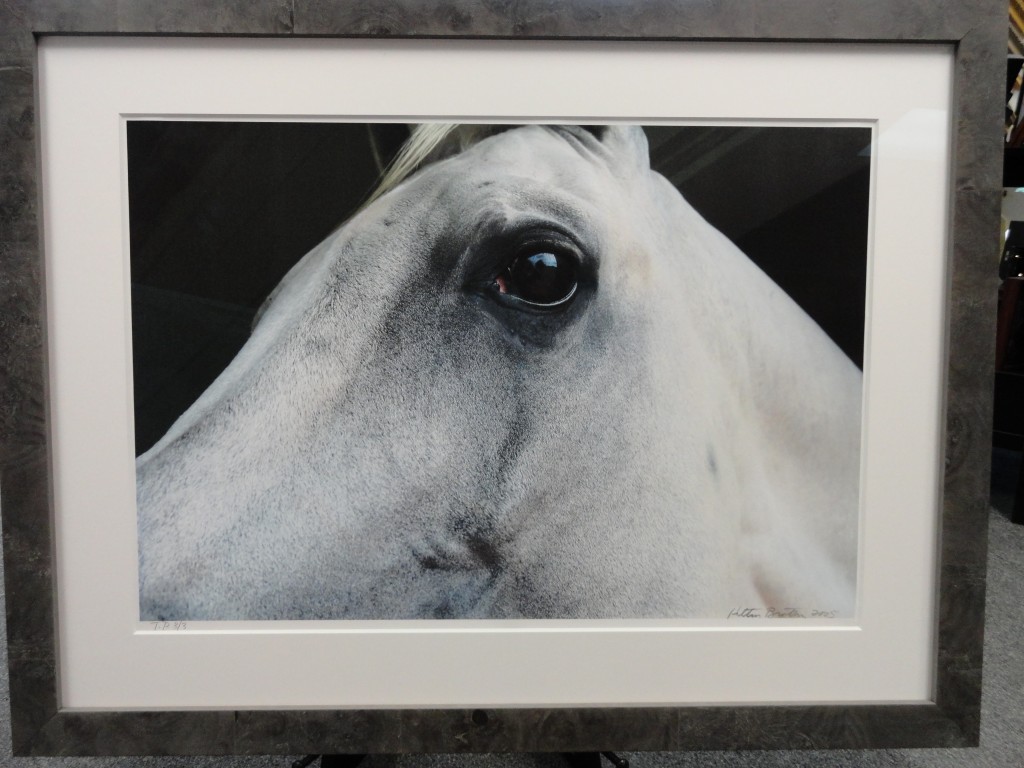 New Larson Juhl Frames Fastframe Houston Picture Framing