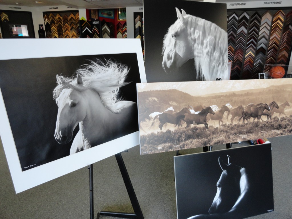 Canvas Framing of Horse Fastframe Houston Picture Framing